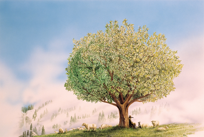 Baum der Erkenntnis Cigler.jpg