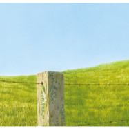 Grenzenlose Freiheit Cigler .jpg