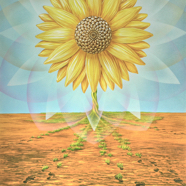 Spuren der Liebe Cigler.jpg