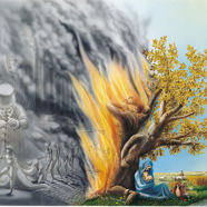 Vaterland-Muttererde Cigler .jpg