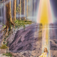 Wie alles begann - 1981 Cigler.jpg