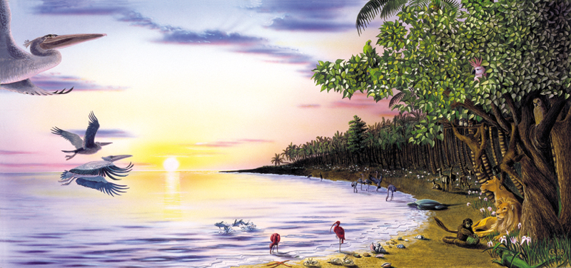 6. Tag 1988 Cigler.jpg