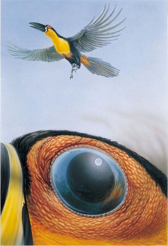 Amazonas 1989 Cigler.jpg