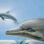 Ocean 1989 Cigler.jpg